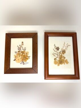 Vintage Pressed Floral Artwork Set in Brown Wood Frames